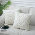Axyaa Plush Cotton Pillow Covers for Home Decor.
