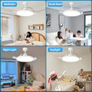 Axyaa 3-in-1 Smart Ceiling Fan with LED Light and Remote Control