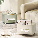 Axyaa Rectangular Tissue Box with Lid Storage Rack, Desktop Organizer for Home Office