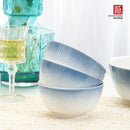 Axyaa Gradient Ceramic Bowl & Plate Set: Enhance Dining Experience for Home & Hotels