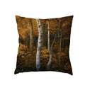 Axyaa Waterfall Maple Lake Forest Decor Pillow Cover Case