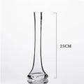Axyaa Oblique Glass Vase for Flowers - Modern Desk Home Decor