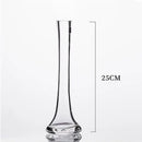 Axyaa Oblique Glass Vase for Flowers - Modern Desk Home Decor