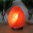 Axyaa Rock Crystal Salt Lamp LED Night Light Wooden Base Air Purifier