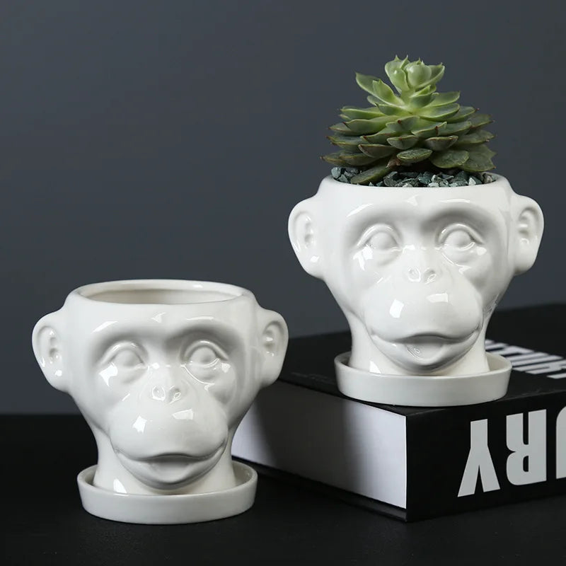 Axya Ceramic Flowerpot for Succulents & Green Plants – Hericium Shape Vase & Desktop Decoration