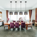 Axyaa Industrial LED Pendant Light for Home Living Room Decor