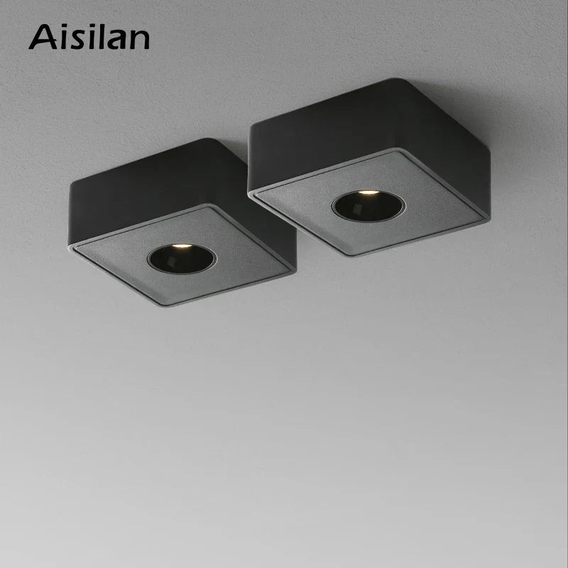 Axyaa Ultra-thin Led Ceiling Downlight for Indoor Living Room, No Flicker Spot Light