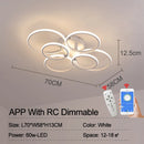 Axyaa Dimmable LED Ceiling Lights for Living Room and Bedroom