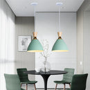 Nordic Style E27 LED Chandelier by Axyaa - Modern Pendant Light for Home Decor