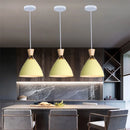Nordic Style E27 LED Chandelier by Axyaa - Modern Pendant Light for Home Decor