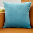 Axyaa Luxury Velvet Beige Cushion Cover for Elegant Home Decor