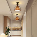 Axyaa Modern Nordic Iron Ceiling Lamp LED Light Fixture