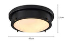 Axyaa Vintage Industrial Ceiling Lamp for Living Room Bedroom Aisle Porch