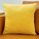 Axyaa Luxury Velvet Beige Cushion Cover for Elegant Home Decor