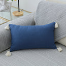 Axyaa Boho Tassled Cushion Cover in Beige/Grey/Blue/Yellow, 30x50cm/45x45cm