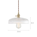 Axyaa Nordic Glass Pendant Light for Bar Cafe Bedroom Restaurant, Retro Vintage Hanging Lamp