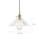 Axyaa Glass Pendant Lights: Nordic Japan Style for Bar Cafe Living Room Industrial Vintage Lamp