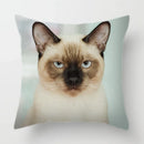 Axyaa Cat Face Print Throw Pillow Cover for Home Sofa Decor
