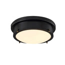 Axyaa Vintage Industrial Ceiling Lamp for Living Room Bedroom Aisle Porch