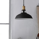 Axyaa Modern LED Pendant Light for Home and Restaurant Decor