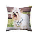 Axyaa Dog Print Polyester Cushion Cover for Sofa Living Room 45X45CM