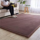 Axyaa Coral Fleece Tatami Floor Mat for Soft Bedroom Living Room Rugs