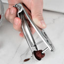 Axyaa Jujube Corer Seed Remover Stainless Steel Tool for Easy Fruit Prep