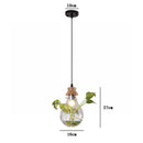 Axya Wood Glass Bottle Pendant Light for Modern Plant Decor