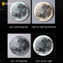 Axyaa Moon LED Wall Lamp for Modern Indoor Lighting in Home Décor