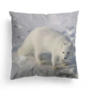 Axyaa Lion Dolphin Horse Cushion Cover 45x45cm - Home Sofa Car Pillow Cover