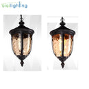 Axyaa Rustic Outdoor Hanging Lights with Hammered Glass for Garden Entryway Porch