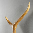 Axyaa Retro Antlers Deer Wall Lamp for Living Room & Bar Décor