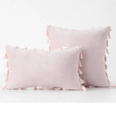 Velvet Tassel Throw Pillow Cover for Couch & Sofa - Axyaa Branded Luxe Accent Cushions