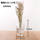 Axyaa Nordic Glass Vase, Hydroponic Terrarium for Modern Home Decor