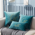 Soft Velvet Embroidered Cushion Cover by Axyaa