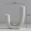Axyaa Abstract Flower Vase | Modern Home Decor | Ceramic Hydroponic Craft