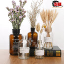 Axyaa Nordic Glass Vase, Hydroponic Terrarium for Modern Home Decor