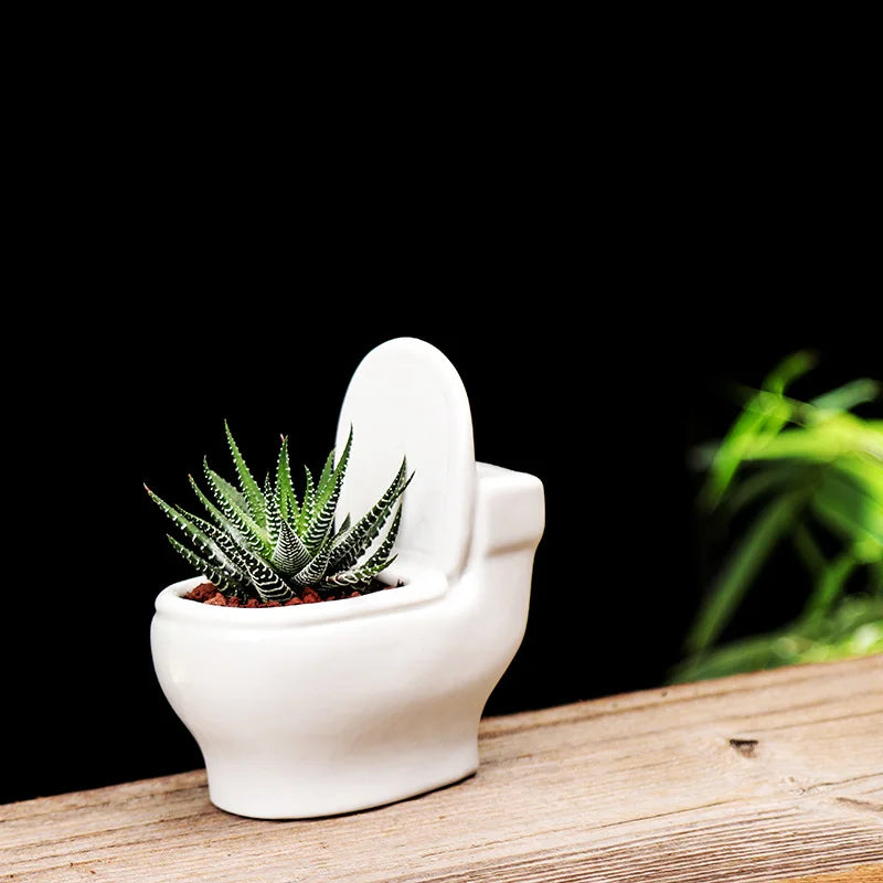 Axya Ceramic Toilet Shape Flower Pot for Home Decoration