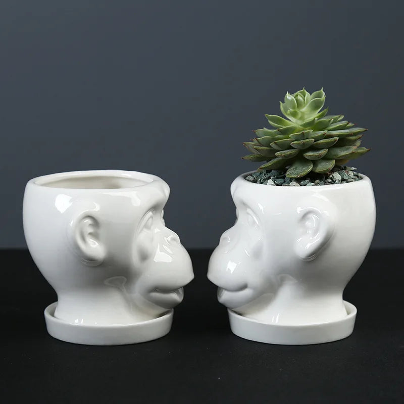 Axya Ceramic Flowerpot for Succulents & Green Plants – Hericium Shape Vase & Desktop Decoration