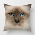 Axyaa Cat Face Print Throw Pillow Cover for Home Sofa Decor