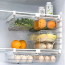 Axyaa Fruit Egg Refrigerator Organizer Shelf Drawer Box Storage Rack