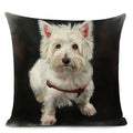 Colourful Bull Terrier & Dachshund 3D Cushion Cover for Home Sofa by Axyaa