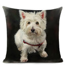 Colourful Bull Terrier & Dachshund 3D Cushion Cover for Home Sofa by Axyaa