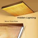Axyaa LED Cabinet Shelf Light Aluminum Profile 18mm Wooden Board Backside Bar Strip Lamps