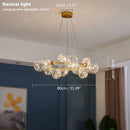 Axyaa Clear Glass Ball Circle Chandelier: Modern Gold LED Lighting for Romantic Living Room