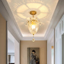 Axyaa Gold Crystal Round Ceiling Chandelier for Home Indoor Lighting