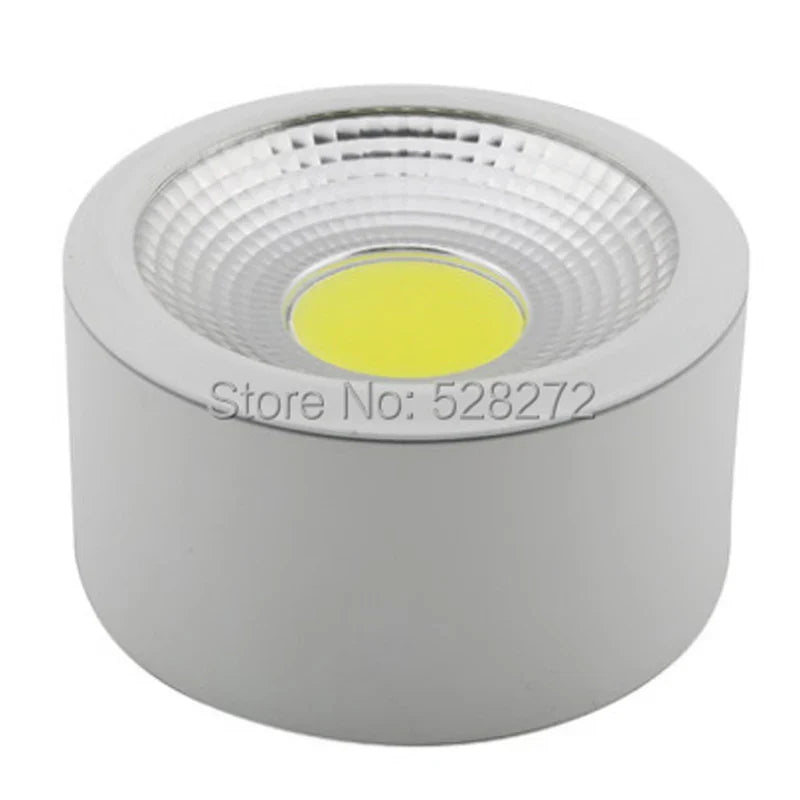 Axya 3W-15W COB LED Downlight for Ceiling, Clothing, Exhibition, Decorative Lighting