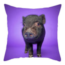 Axyaa Pig Oil Painting Cushion Cover Home Decor Sofa Chair 45X45cm