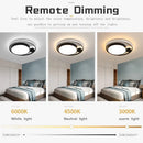 Axyaa Modern Black LED Ceiling Lights Chandelier for Living Room Bedroom Home Décor