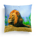 Axyaa Lion Dolphin Horse Cushion Cover 45x45cm - Home Sofa Car Pillow Cover